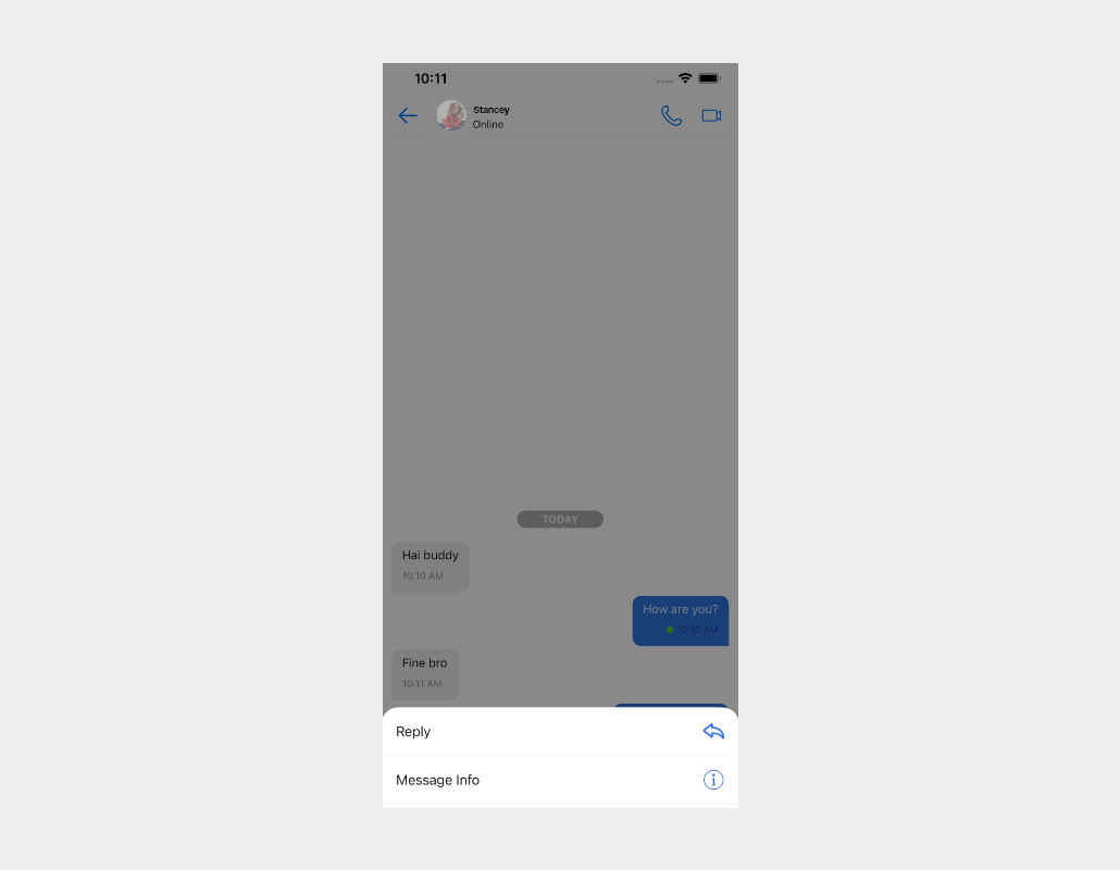 MessageInfo
