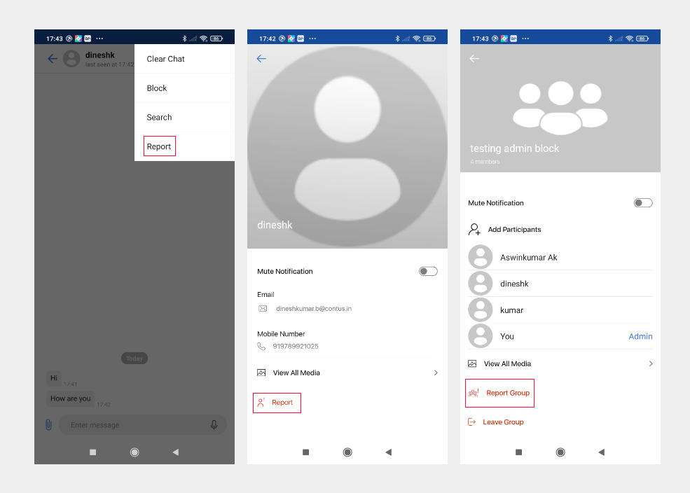 report_info