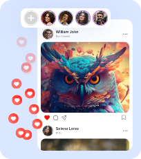 flutterflow customer support