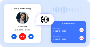 on premise native voice call software