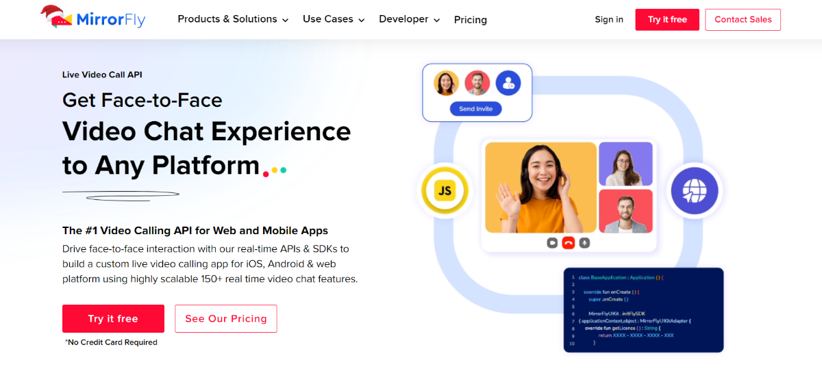 online video call
