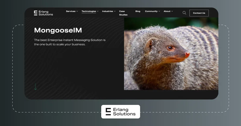 MongooseIM Scalable XMPP Messaging & Video Call Server MongooseIM-Scalable-XMPP-Messaging-Video-Call-Server