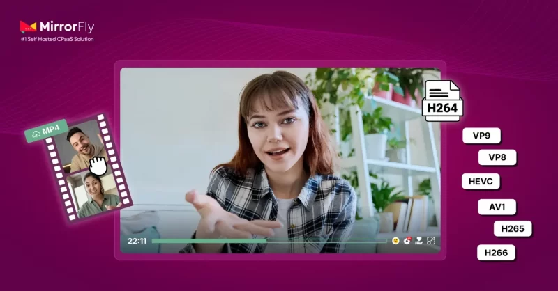 Video Codecs Types, Workflow & Trends